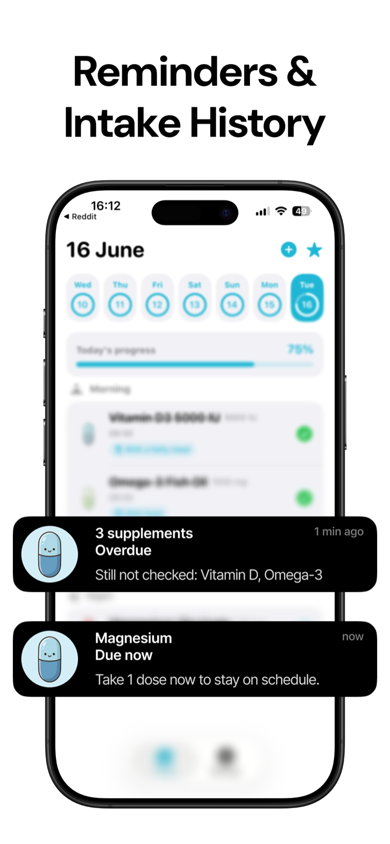 Reminders & Intake History — Supplement Tracker showing dose reminders and the full intake history